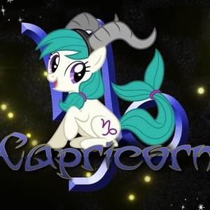 Meet your Posher, Vi